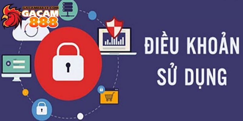 Điều khoản sử dụng