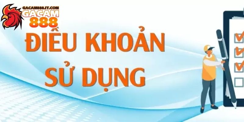 Điều khoản sử dụng